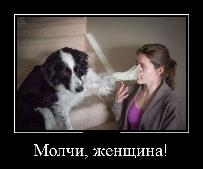 Демотиваторы