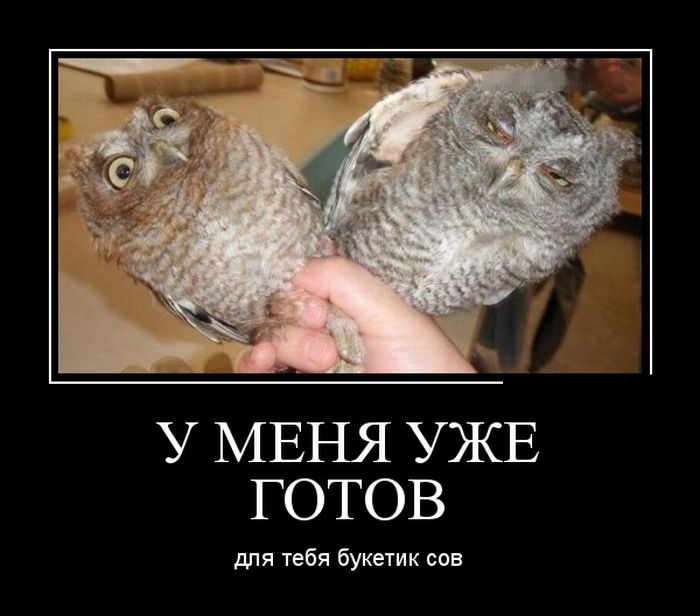 Демотиваторы