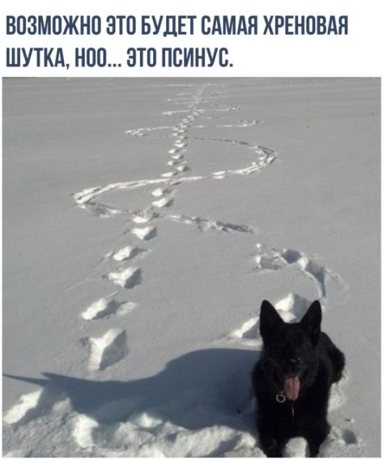 Прикольные картинки