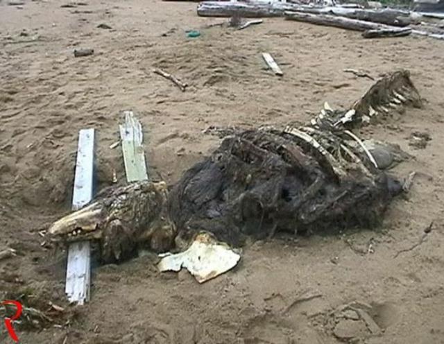 Самые необычные паранормальные явления в России Самые необычные паранормальные явления в России