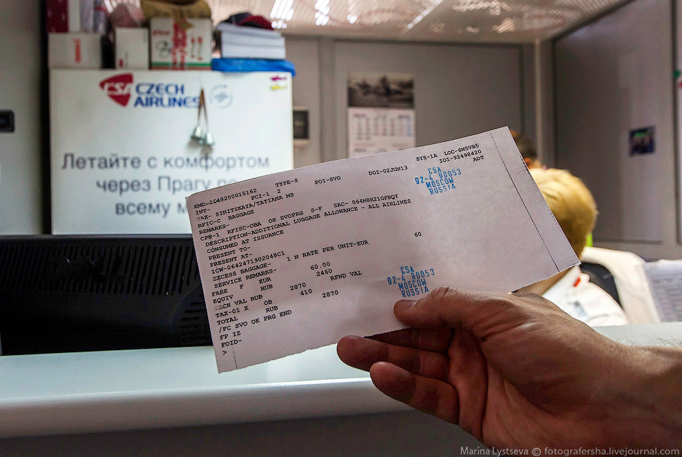 Познавательно: перевозка животных в самолете Познавательно: перевозка животных в самолете