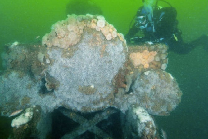 10 необычных находок с морского дна 10 необычных находок с морского дна