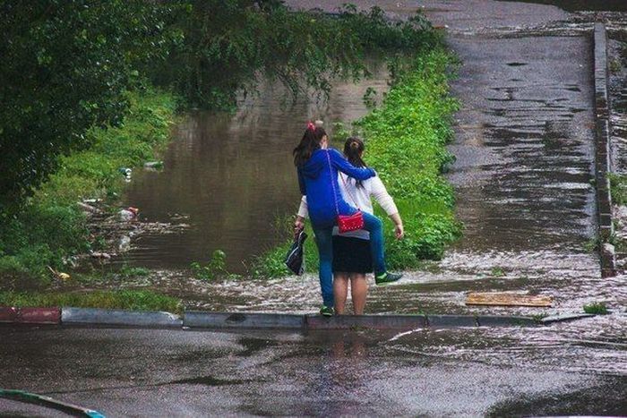 Друзья в беде не бросят