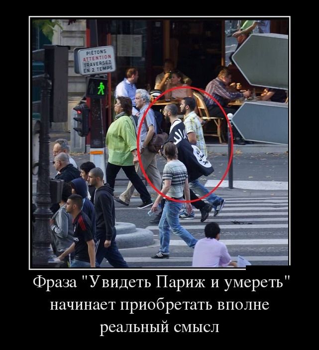 Демотиваторы