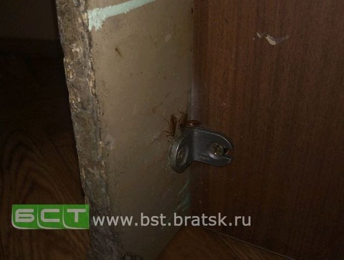 Ад российских больниц Ад российских больниц