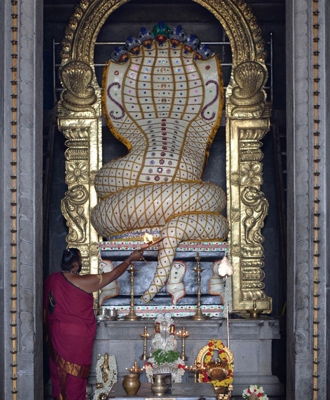 Праздник почитания змей Nag Panchami 2017 Праздник почитания змей Nag Panchami 2017