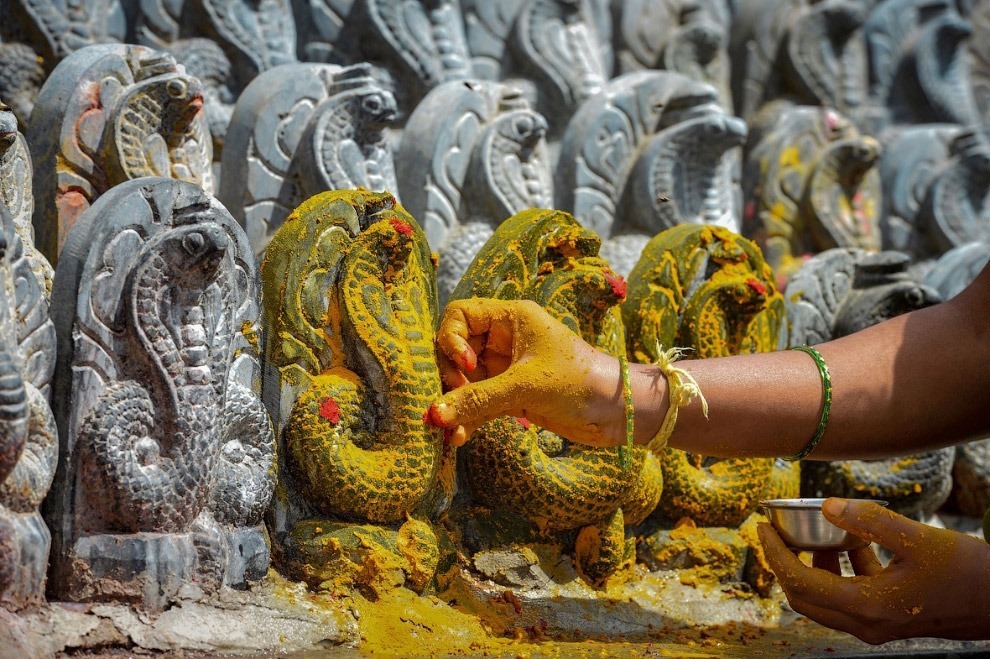 Праздник почитания змей Nag Panchami 2017 Праздник почитания змей Nag Panchami 2017