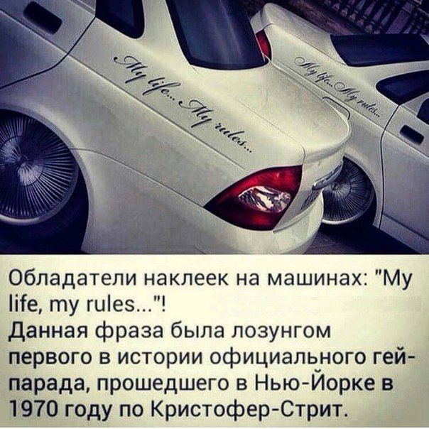 Порция картинок