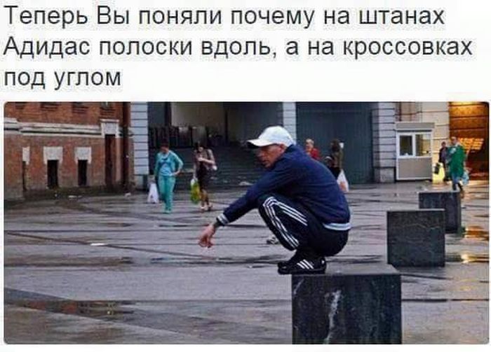 Порция картинок