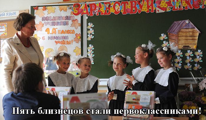 Порция картинок