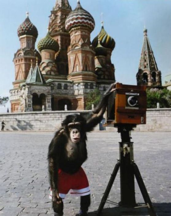 Самые дорогие работы советских и российских фотографов, проданных на лондонском аукционе Самые дорогие работы советских и российских фотографов, проданных на лондонском аукционе