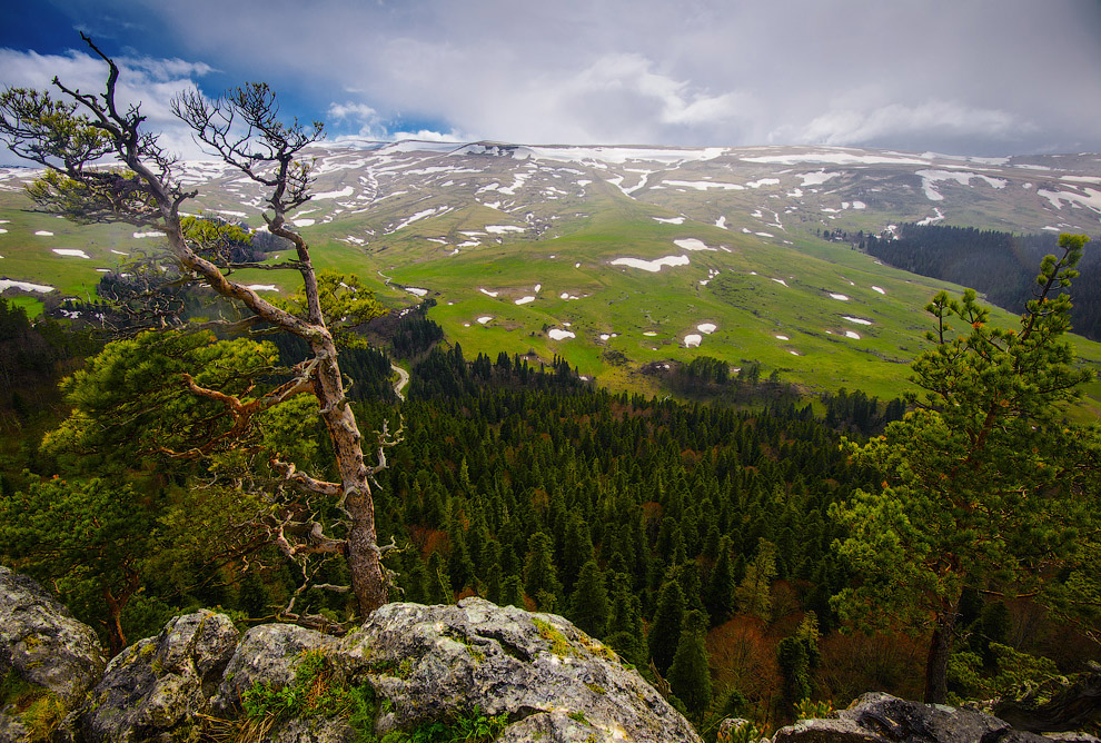 Плато Лаго-Наки на Западном Кавказе