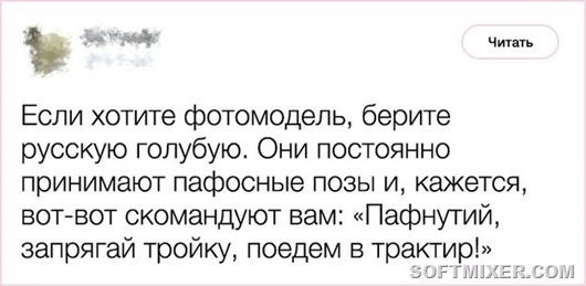 Любопытные факты от заводчика кошек Любопытные факты от заводчика кошек