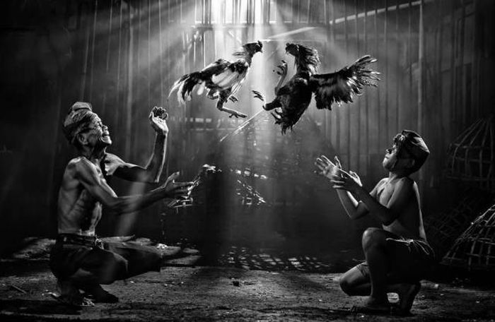 Лучшие снимки фотоконкурса Siena International Photography Awards