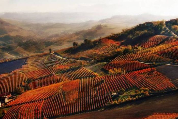 Лучшие снимки фотоконкурса Siena International Photography Awards