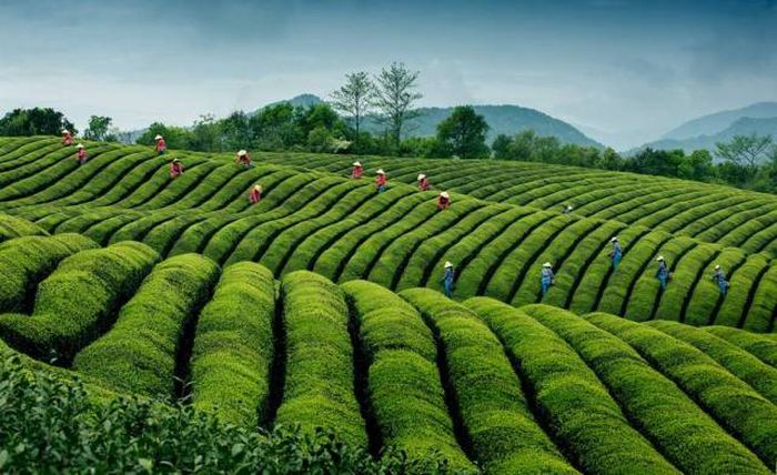 Лучшие снимки фотоконкурса Siena International Photography Awards