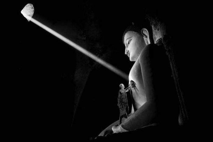 Лучшие снимки фотоконкурса Siena International Photography Awards