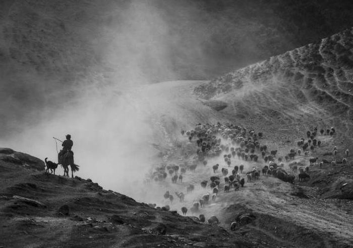 Лучшие снимки фотоконкурса Siena International Photography Awards