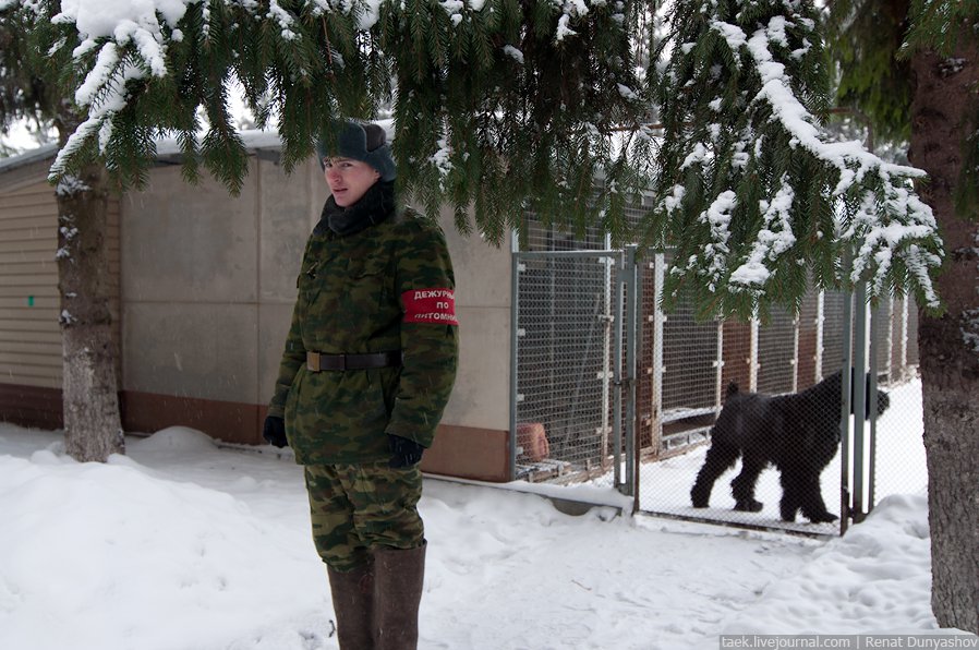 Военный кинологический центр «Красная звезда» Военный кинологический центр «Красная звезда»