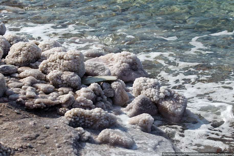 Мертвое море Мертвое море