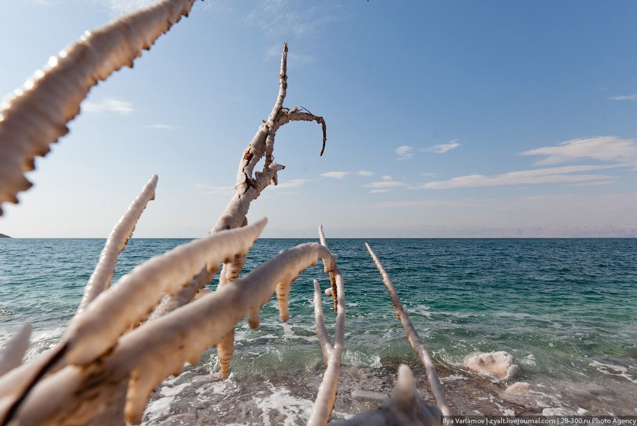 Мертвое море Мертвое море