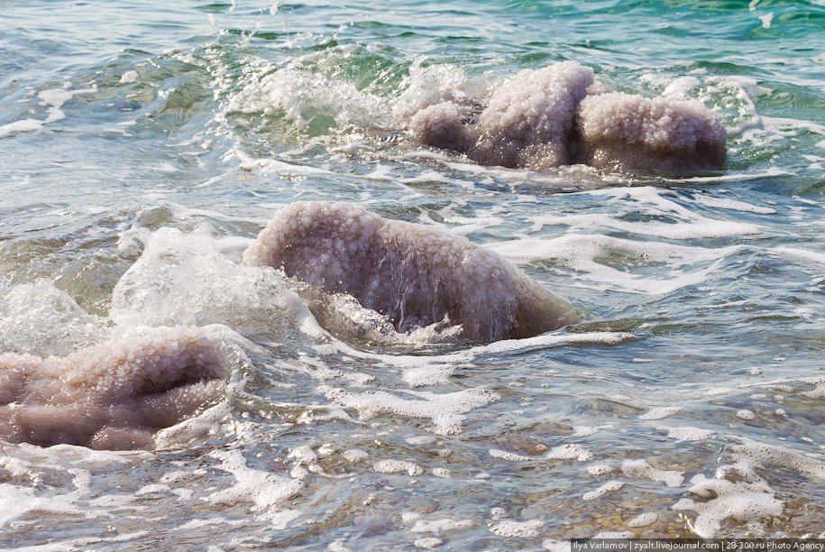Мертвое море Мертвое море
