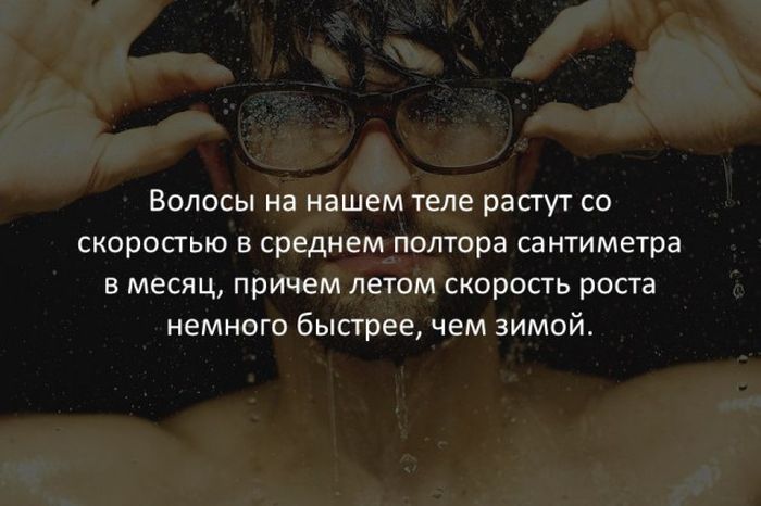 Интересные факты обо всем на свете