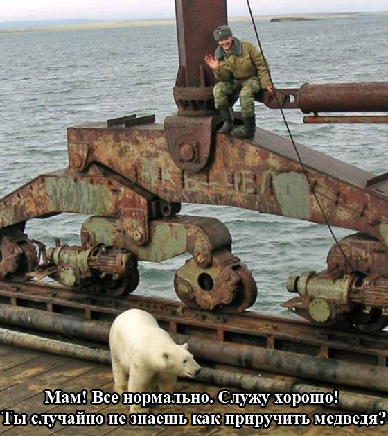 Порция картинок