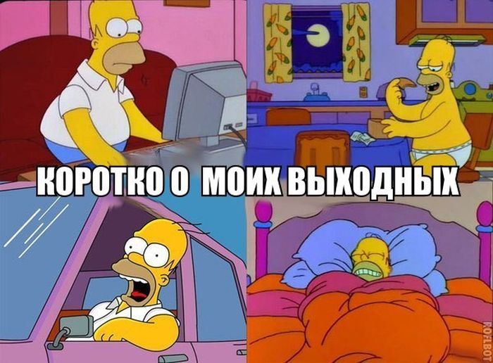 Порция картинок