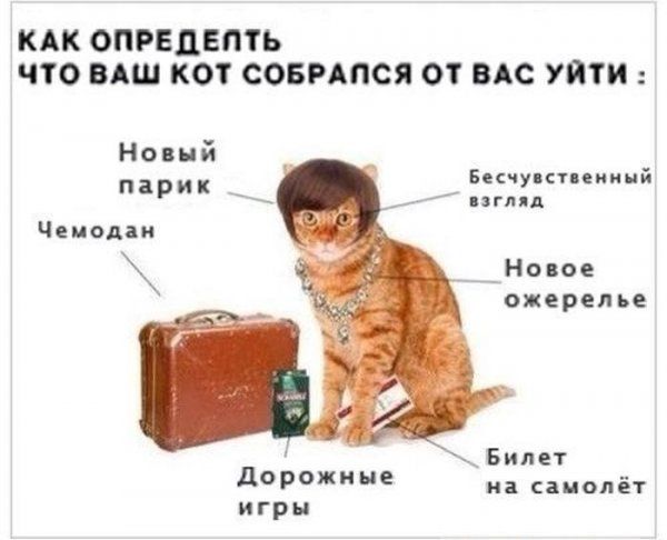 Прикольные картинки (73 фото)