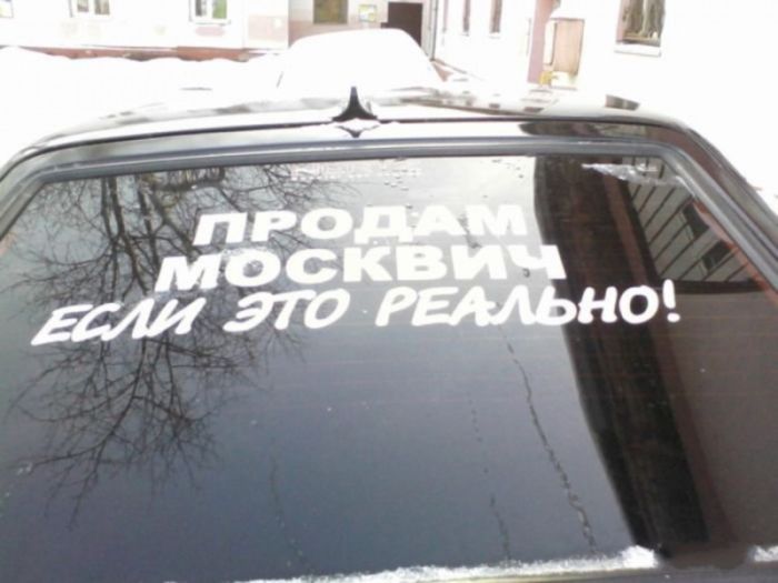 Порция картинок