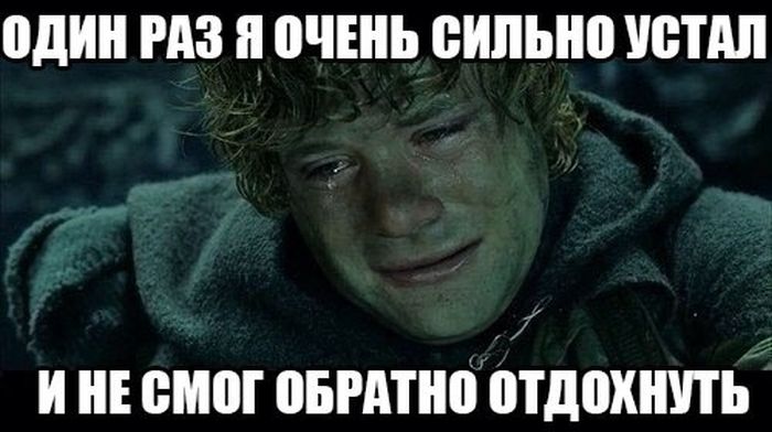 Порция картинок