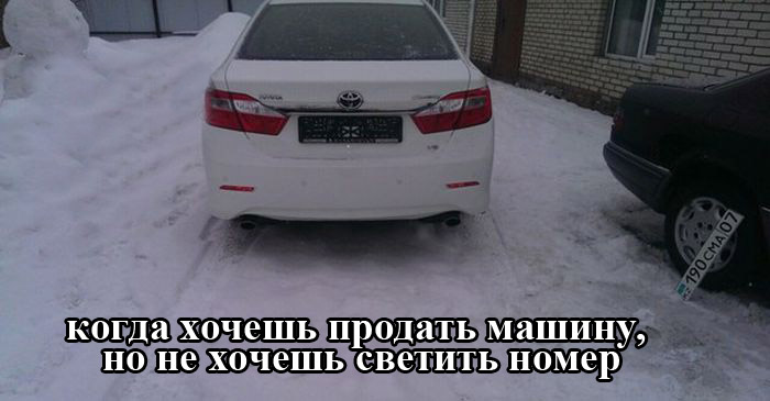 Порция картинок
