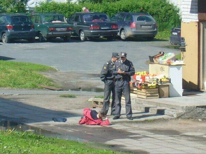 Порция картинок
