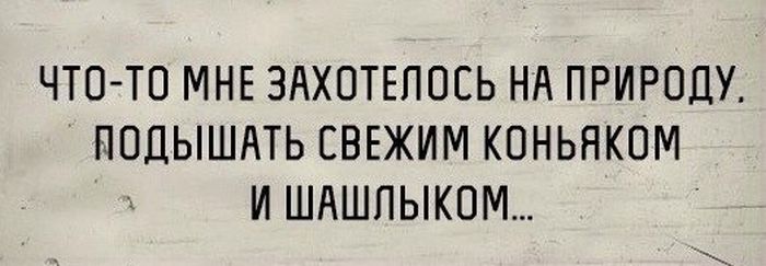 Порция картинок