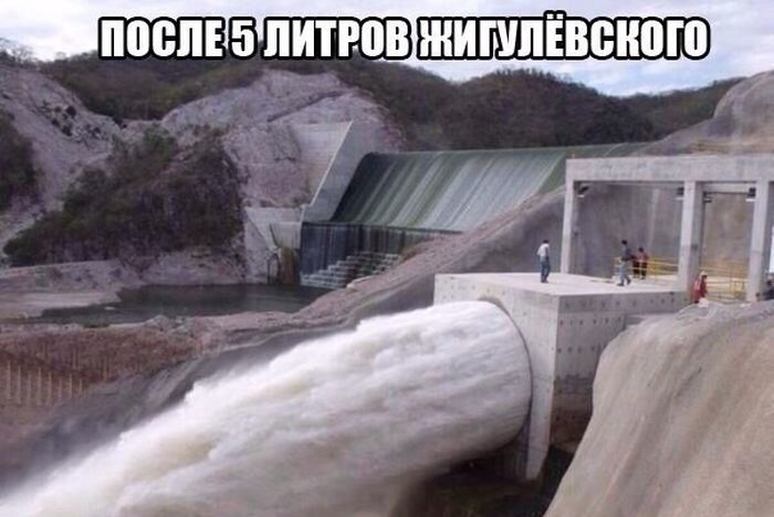Порция картинок