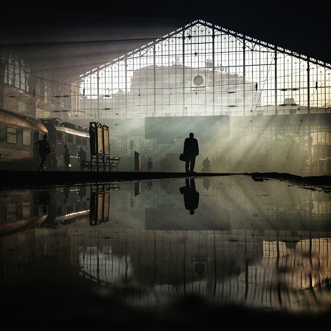 Победители Sony World Photography Awards 2015 среди любителей
