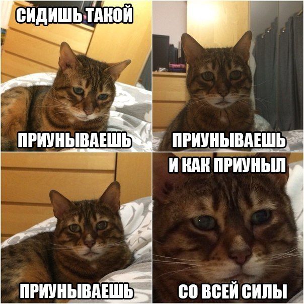Порция картинок