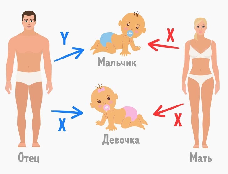 7 нелепых мифов, в которые почему-то верят некоторые люди 7 нелепых мифов, в которые почему-то верят некоторые люди