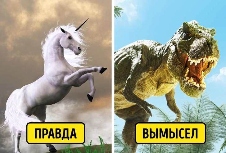 7 нелепых мифов, в которые почему-то верят некоторые люди 7 нелепых мифов, в которые почему-то верят некоторые люди