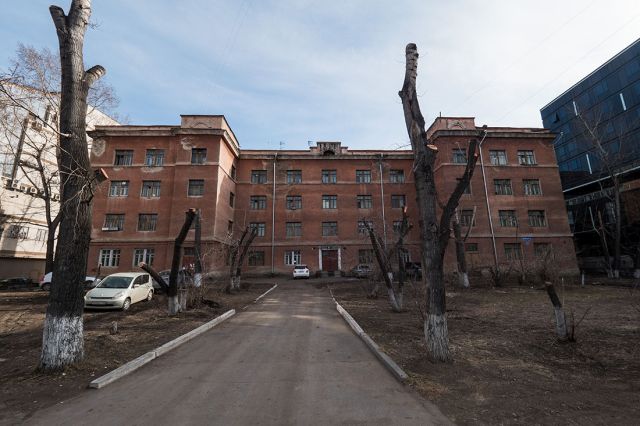 Деревья-обрубки из российских городов Деревья-обрубки из российских городов