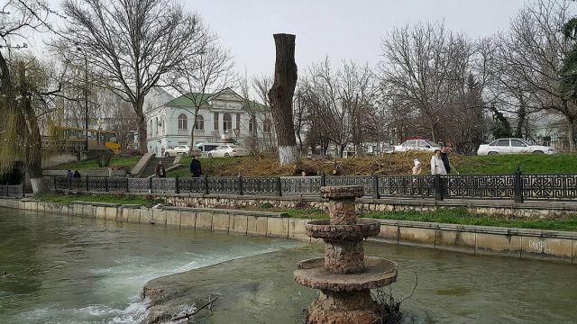 Деревья-обрубки из российских городов Деревья-обрубки из российских городов