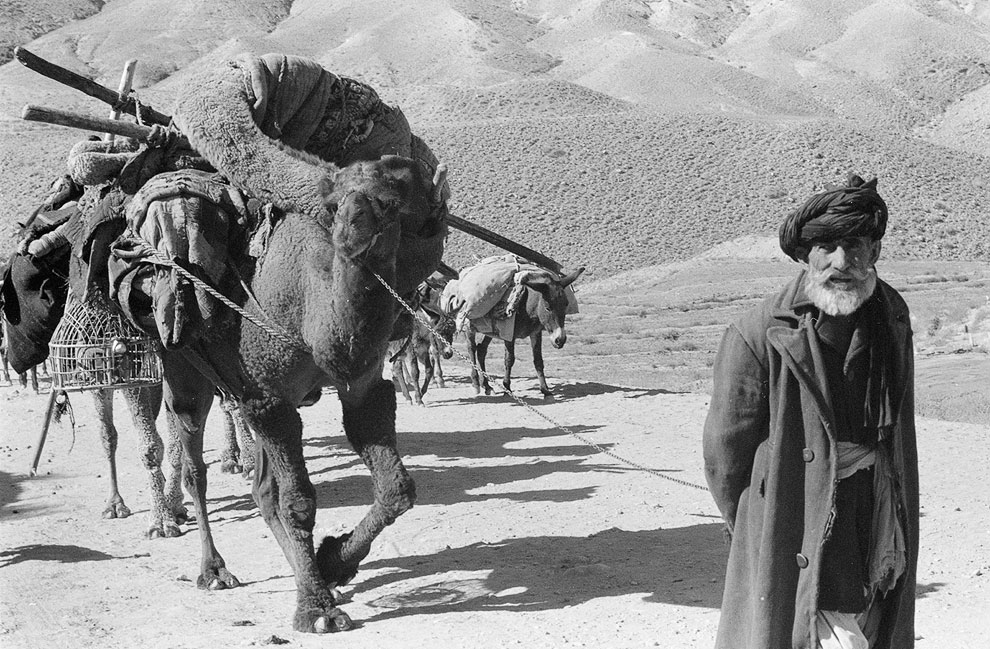 Назад в прошлое: Афганистан в 1950—1960 годах