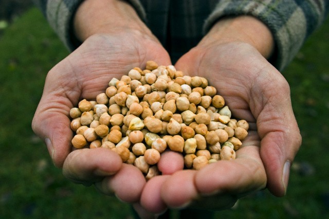 18 полезных привычек здорового человека