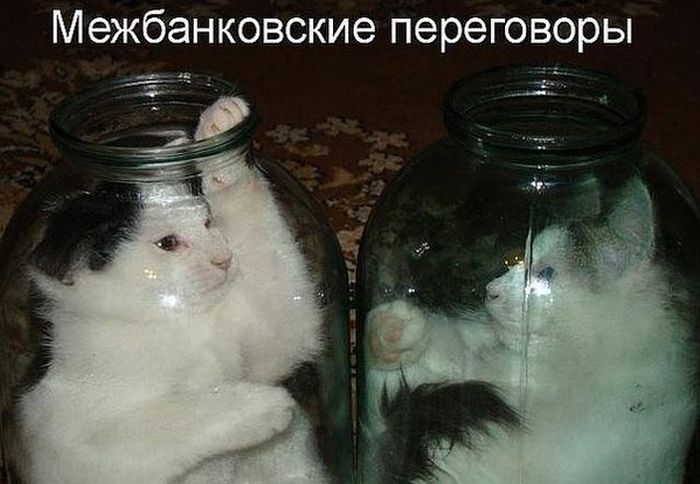 Порция картинок