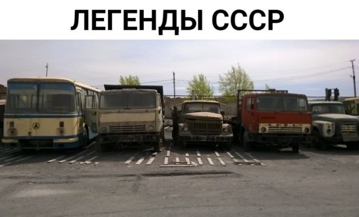 Веселые картинки с подписями
