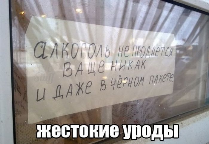 Веселые картинки с подписями