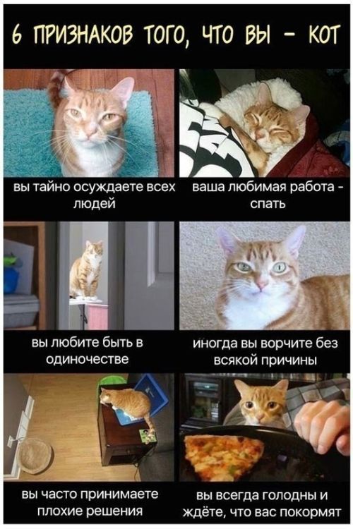 Смешные комиксы