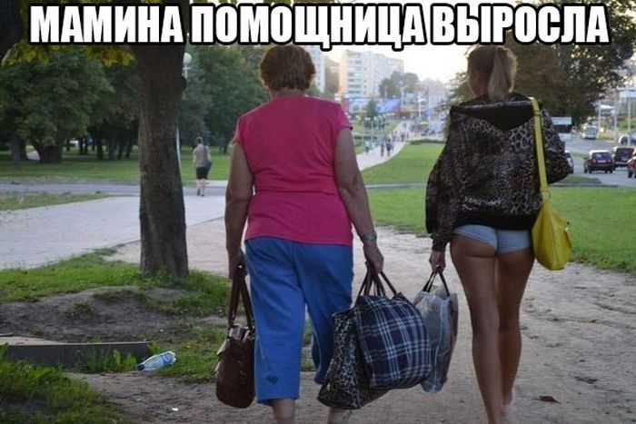 Порция картинок