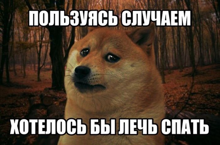 Порция картинок